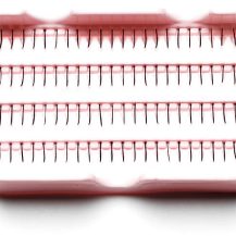 ardell dura lash - black